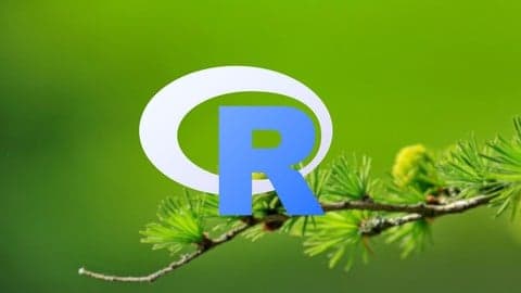R Basics - R Programming Language Introduction