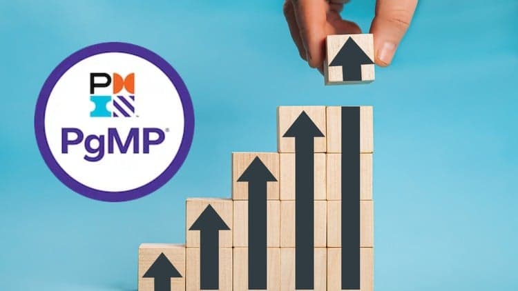 PMI PgMP Program Management Professional Practice Test 2025